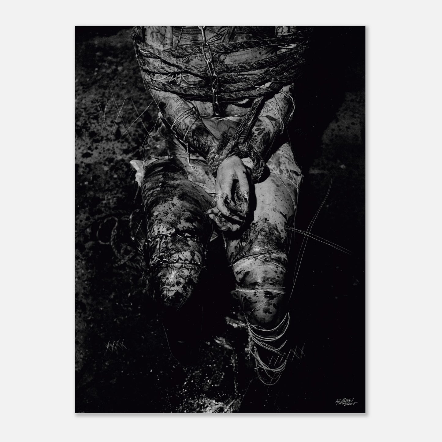 1d4d2b0a-3385-4737-8243-3f813374e8b7