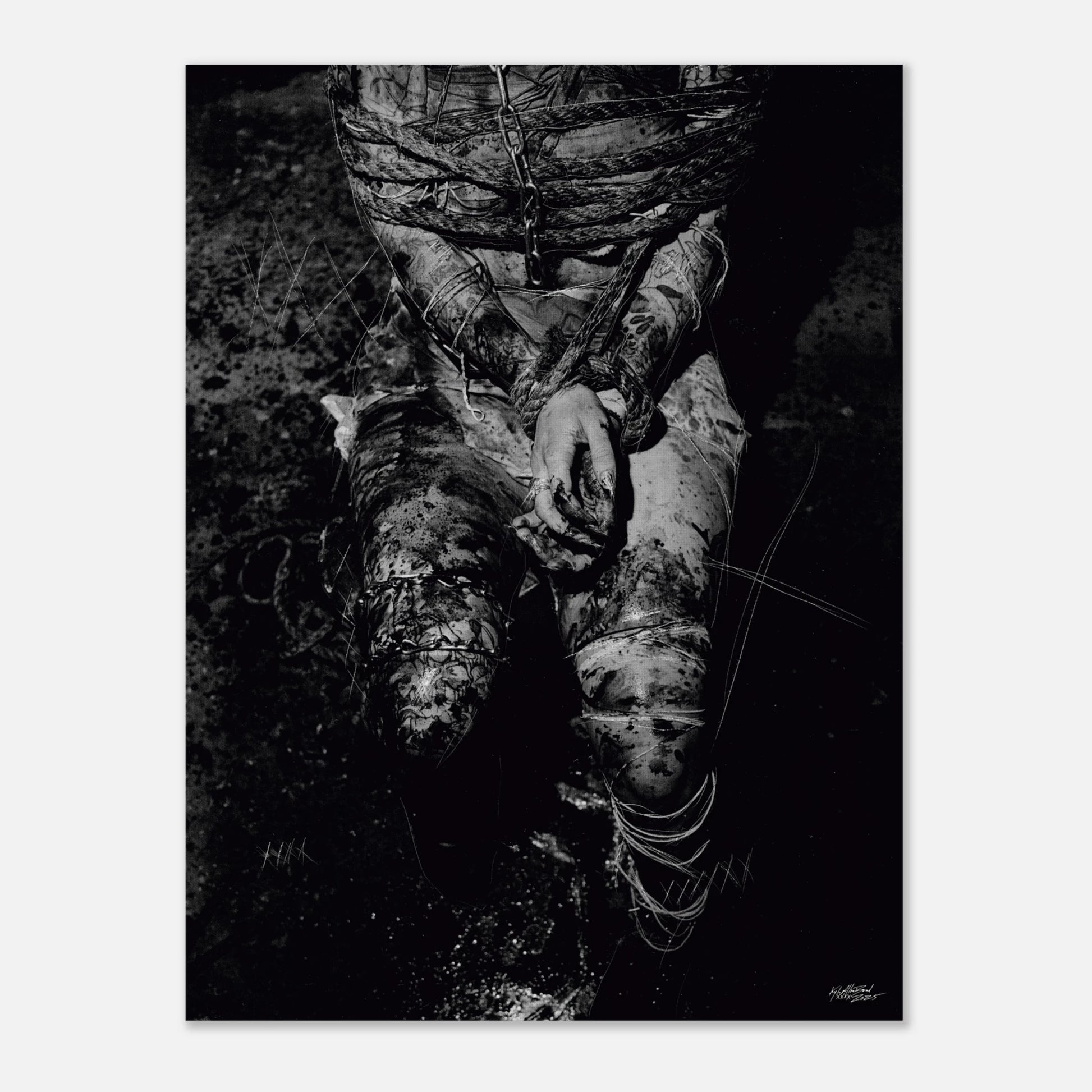 1d4d2b0a-3385-4737-8243-3f813374e8b7