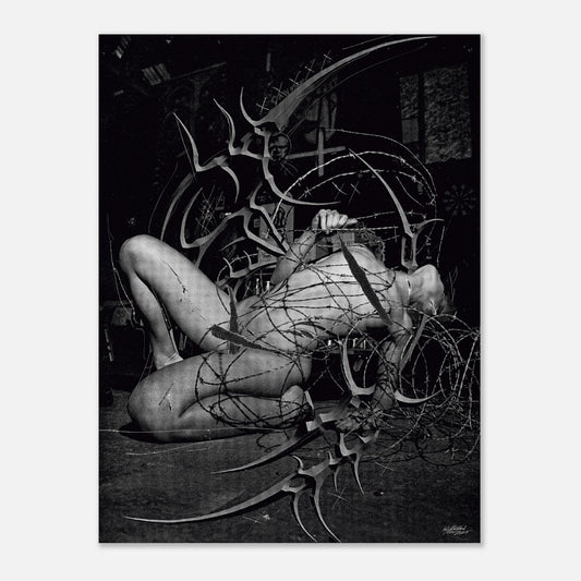 40d85161-a12d-4f6b-8cdf-78612e9c7aad